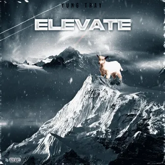 Elevate by Yung Tray