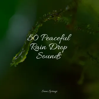 50 Peaceful Rain Drop Sounds by Forest Sounds