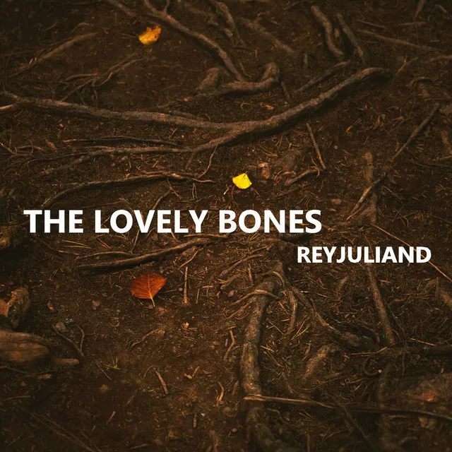 The Lovely Bones - Instrumental Version