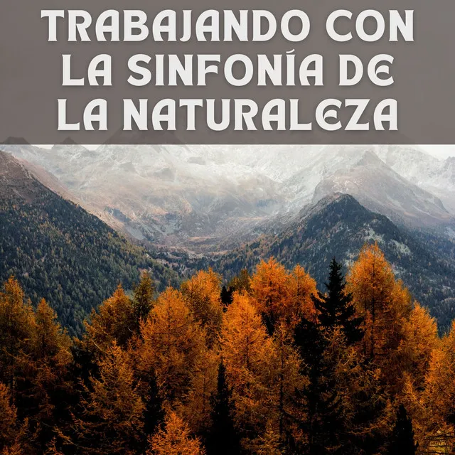 Trabajando con la Sinfonía de la Naturaleza