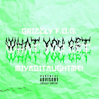 What You Get by Grizzly F.O.G.