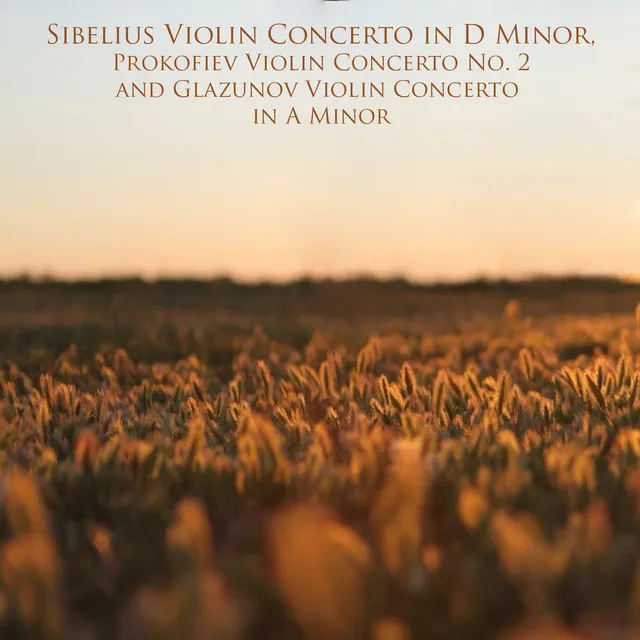 Violin Concerto in D Minor, Op. 47: I. Allegro moderato