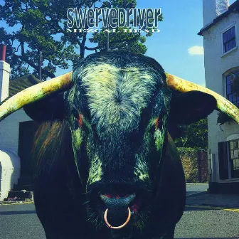 Mezcal Head by Swervedriver