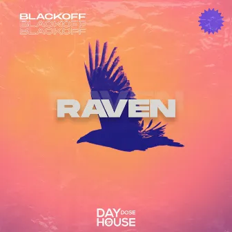 Raven by Slap Dose