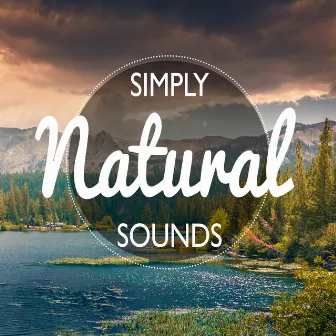 Simply Natural Sounds by Relaxing With Sounds of Nature and Spa Music Natural White Noise Sound Therapy