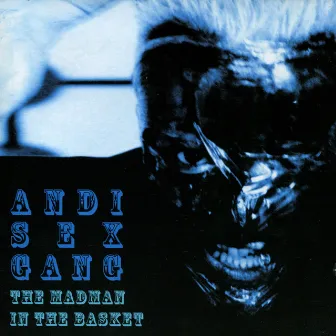 The Madman in the Basket by Andi Sex Gang