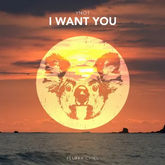 I Want You by YNOT