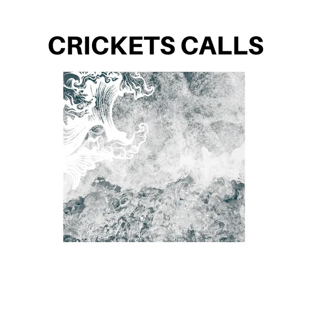 Crickets Calls