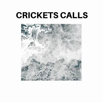 Crickets Calls by Devotional Ocean Music Project