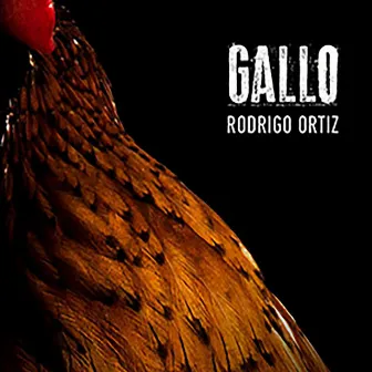 Gallo by Rodrigo Ortiz