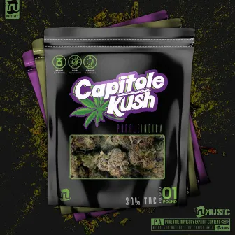 Capitole Kush by Capitole D