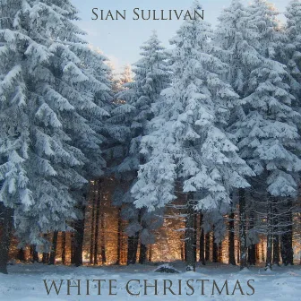 White Christmas by Sian Sullivan