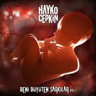 Beni Büyüten Şarkılar, Vol.1 by Hayko Cepkin