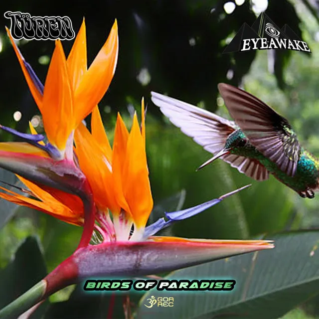 Birds of Paradise - Original Mix