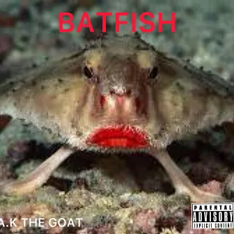 BATFISH by A.K the Goat