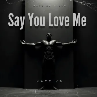 Say You Love Me by Nate K9