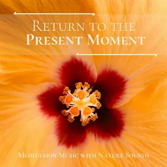 Return to the Present Moment: Meditation Music with Nature Sounds by Acupuncture Music Master