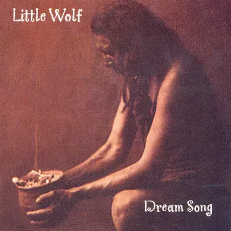 Dream Song by Little Wolf