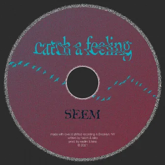 Catch a Feeling by SEEM