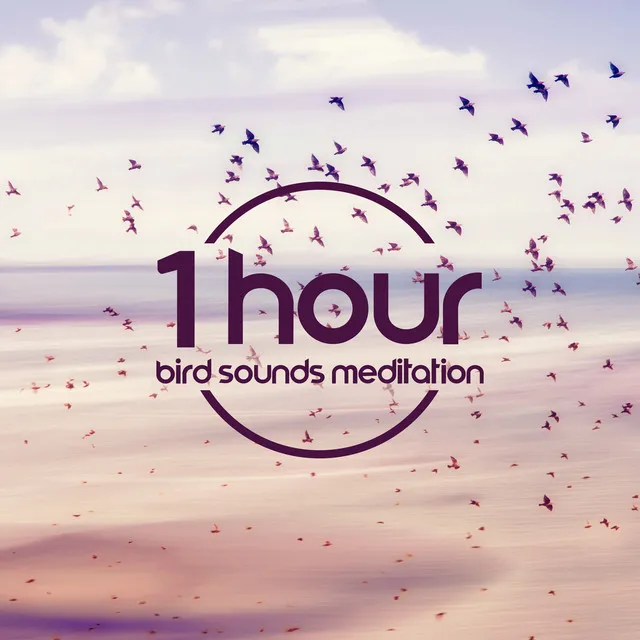 1 Hour Bird Sounds Meditation