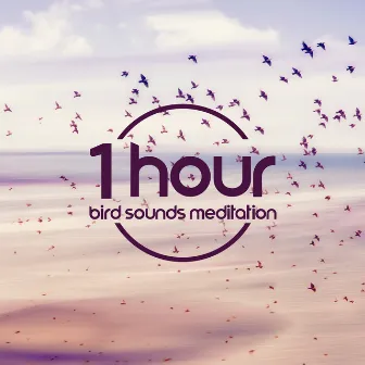 1 Hour Bird Sounds Meditation by Birds Singing Academy