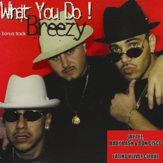 Breezy by Latino Velvet