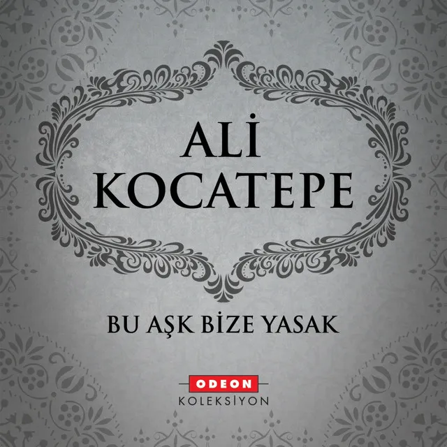 Bu Aşk Bize Yasak