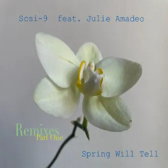 Spring Will Tell (Remixes Part One) by Root