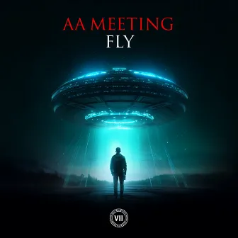 Fly by AA Meeting