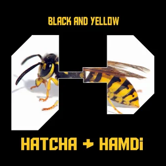 Black and Yellow by Hatcha