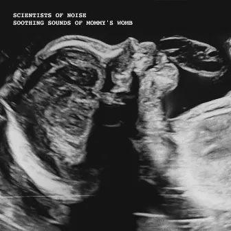 Soothing Sounds of Mommy's Womb by Scientists of Noise