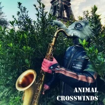 Animal crosswinds by Fabien Chouraki