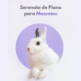 Serenata De Piano Para Mascotas by Animales de piano