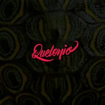 Quelonio by S-Moc Crew