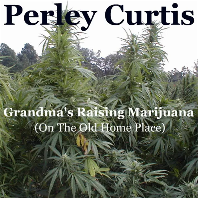 Grandma's Raising Marijuana - Single