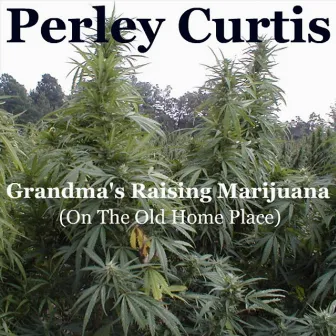 Grandma's Raising Marijuana - Single by Perley Curtis