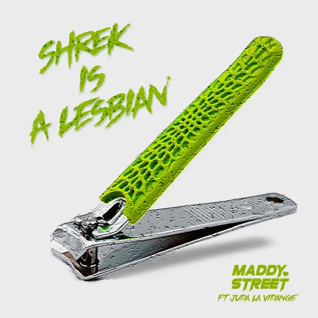 Shrek Is a Lesbian