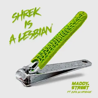 Shrek Is a Lesbian by Maddy Street