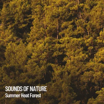 Sounds of Nature: Summer Heat Forest by Relax A Wave