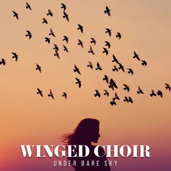 Winged Choir by Unknown Artist