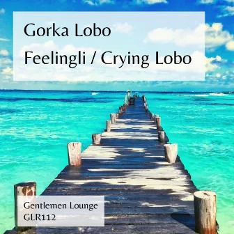 Feelingli by Gorka Lobo