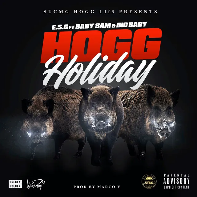 Hogg Holiday