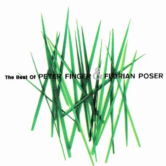 The Best Of Peter Finger & Florian Poser by Peter Finger