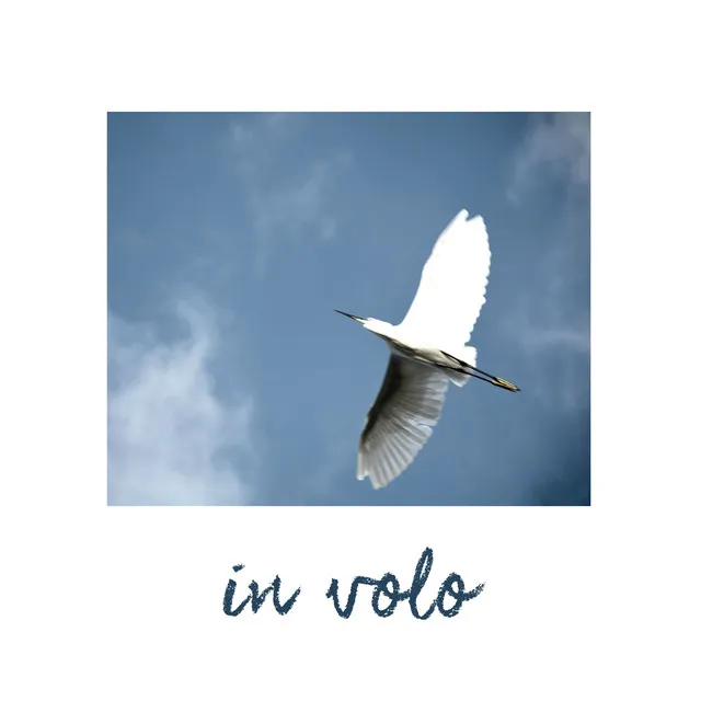 In volo