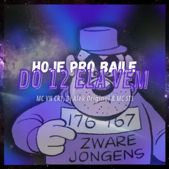 HOJE PRO BAILE DO 12 ELA VEM by MC STS