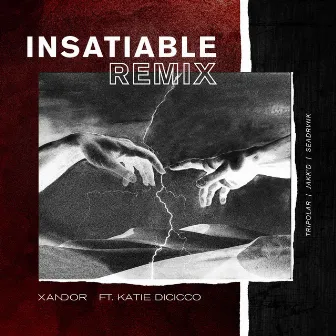 Insatiable (Remixes) by Xandor