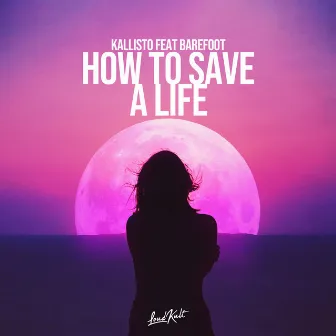 How to Save a Life by Kallisto