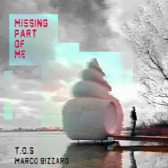 Missing Part of Me by T.O.S