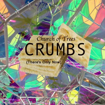 Crumbs (There's Only Now) by Church of Trees