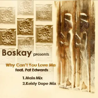 Why Can't You Love Me by Boskay